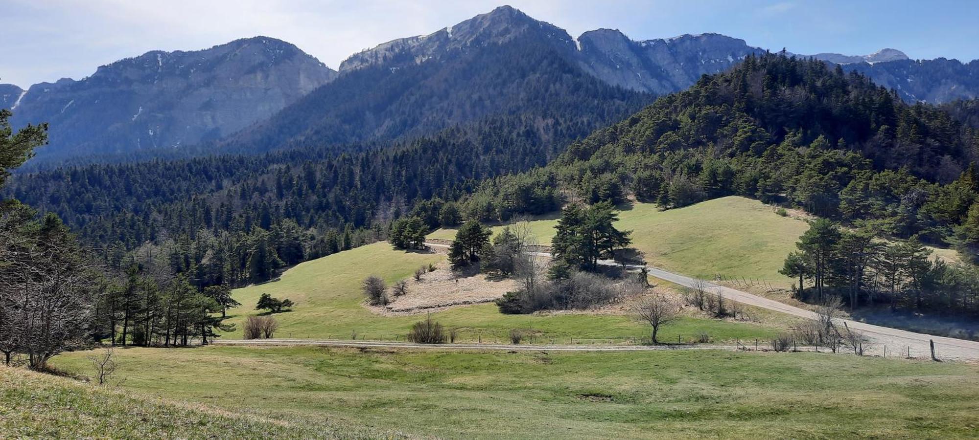 Les Vagabonds Du Mont Bed & Breakfast Chichilianne Dış mekan fotoğraf