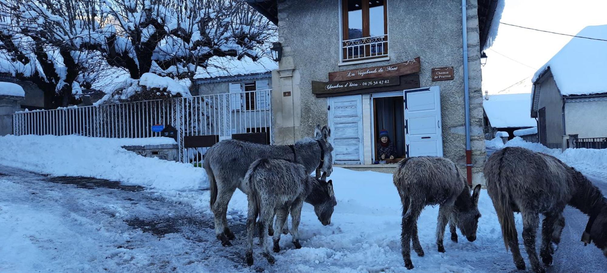 Les Vagabonds Du Mont Bed & Breakfast Chichilianne Dış mekan fotoğraf